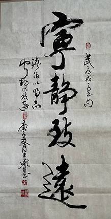 王鑫生 书法 中华当代杰出功勋艺术家 宁静致远