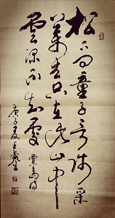 王鑫生 书法 中华当代杰出功勋艺术家 松下问童子