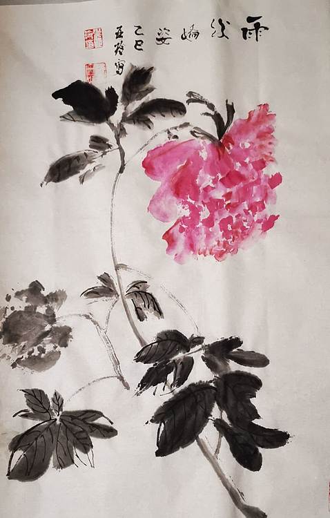 清荷 霍春阳学生    樊华      雨后娇姿