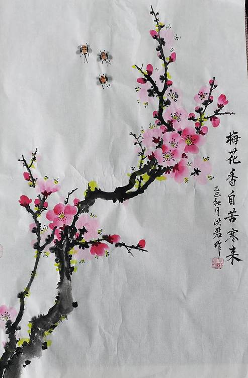 洪君 梅花香自苦寒来