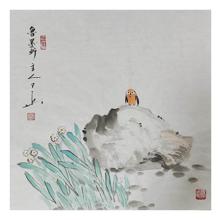 静心虾屋主人 水仙小鸟