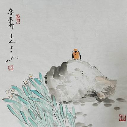 静心虾屋主人 水仙小鸟