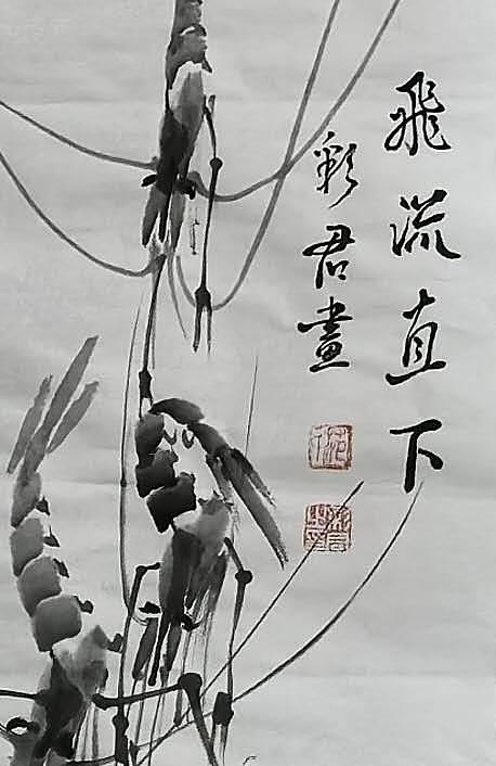 范彩君 德州美协会员,飞流直下