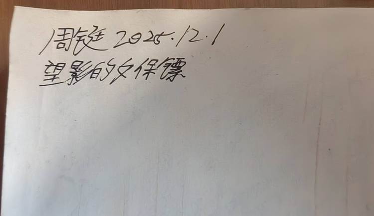 周铤 《望影的女保镖》