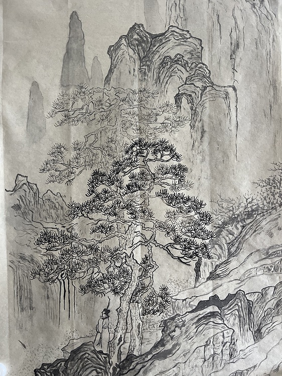 王木兰 飞瀑漱苍崖