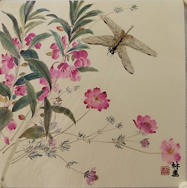 砚沐 秋英蜻蜓草虫