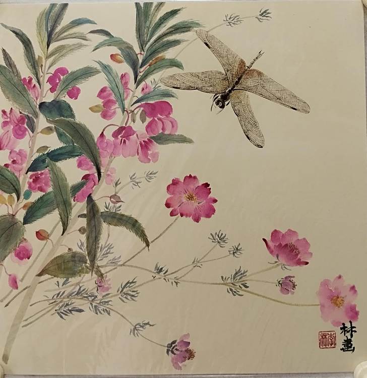 砚沐 秋英蜻蜓草虫