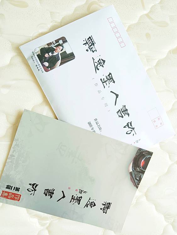 做客中央电视台实力书法家飘逸墨人僧桂起 书法作品