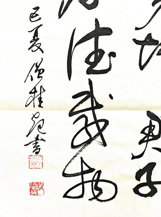 做客中央电视台实力书法家飘逸墨人僧桂起 书法作品