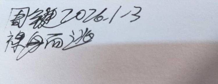 周铤 《裸身而逃》