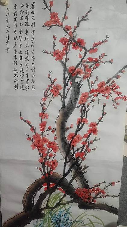 青年书画家 泰然自若 梅花香自苦寒来