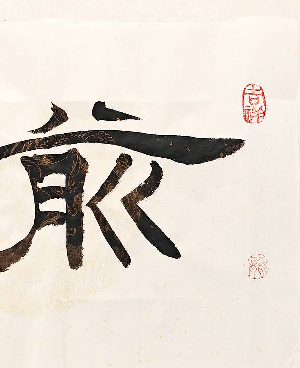 僧桂起 做客中央电视台和《人民日报》实力书法家飘逸墨人僧桂起书法作品