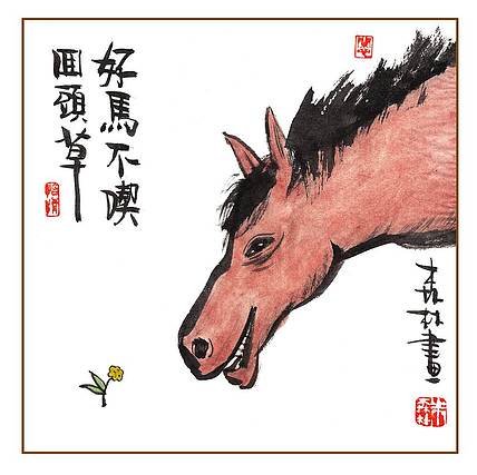 朱森林 好马不吃回头草