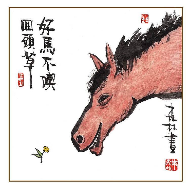 朱森林 好马不吃回头草