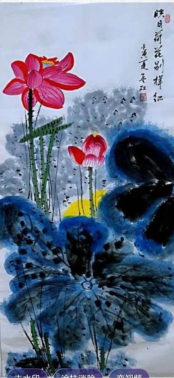 梦绘 映日荷花别样红