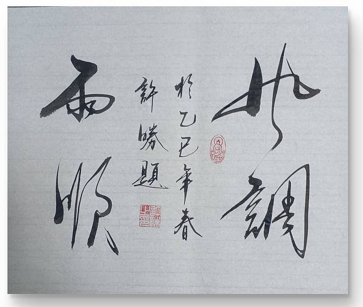 九宣 中国书法家协会会员 国家一级书法师