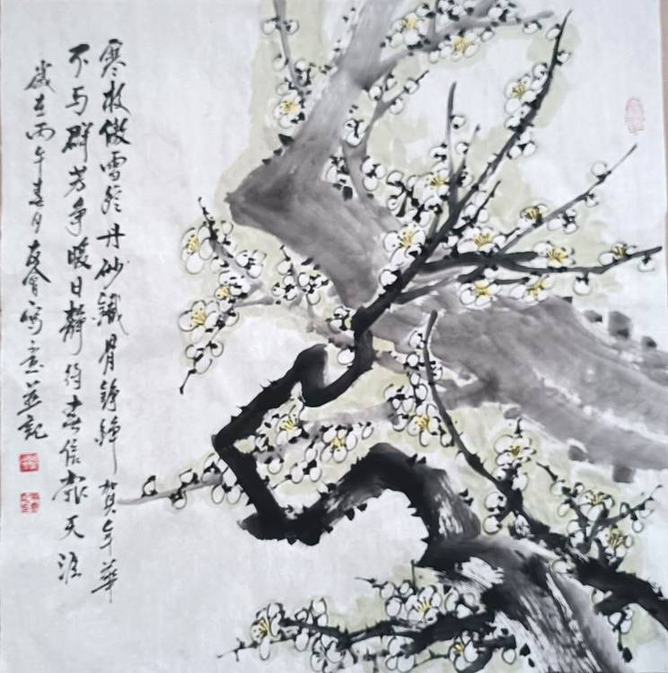 山东省美协会员 闫友会 白梅斗方