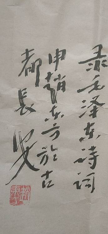 赵东方 沁园春雪