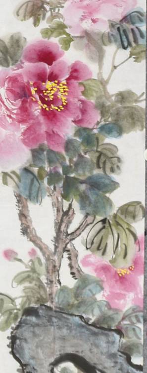 来荣娜 花开富贵