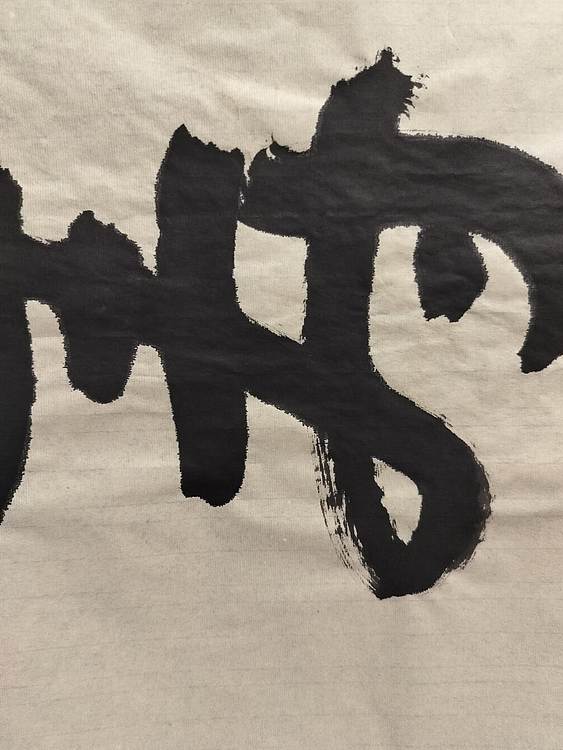 点空居士 寿且康