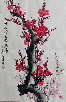 洪君 梅花香自苦寒来