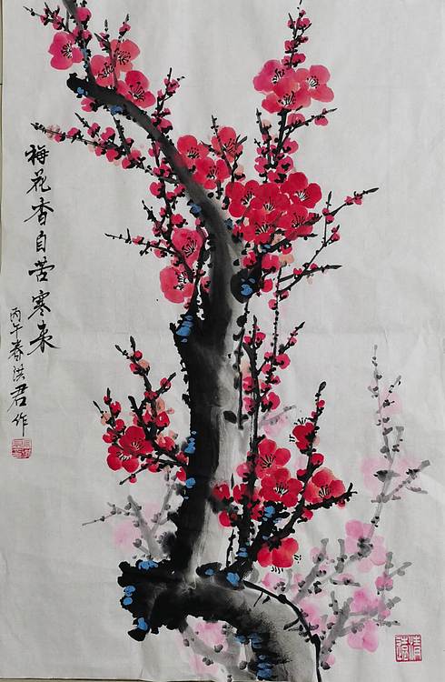 洪君 梅花香自苦寒来