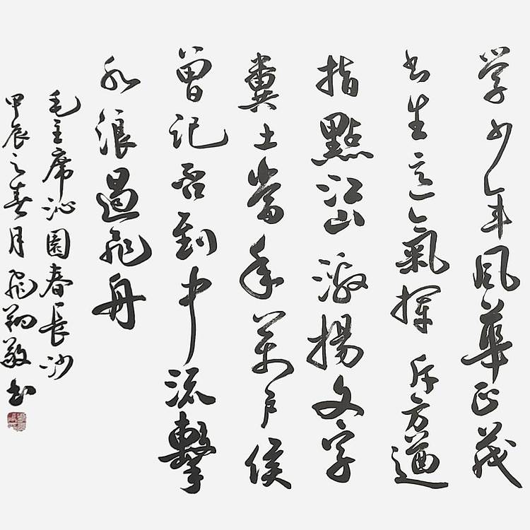 飞翔 沁园春长沙书法字画手写真迹名人作品名家定制收藏行书装饰挂画