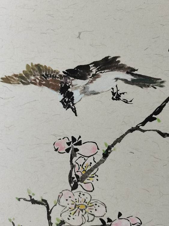 无 相看两不厌