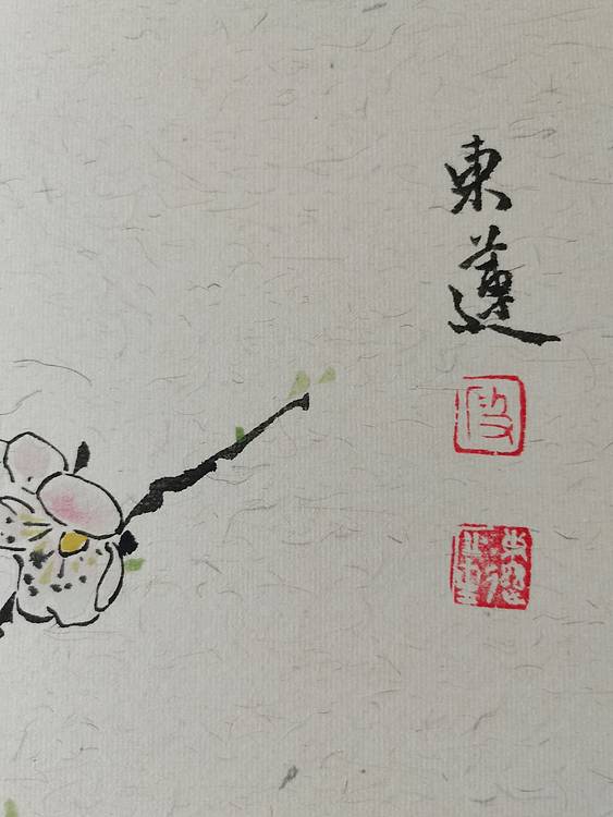 无 相看两不厌