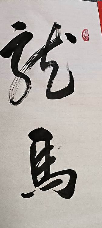李保嗣 龙马精神