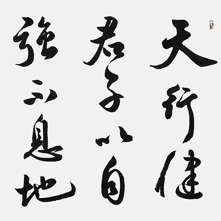 飞翔 易经名句天行健自强不息厚德载物书法作品名人字画名家真迹定制