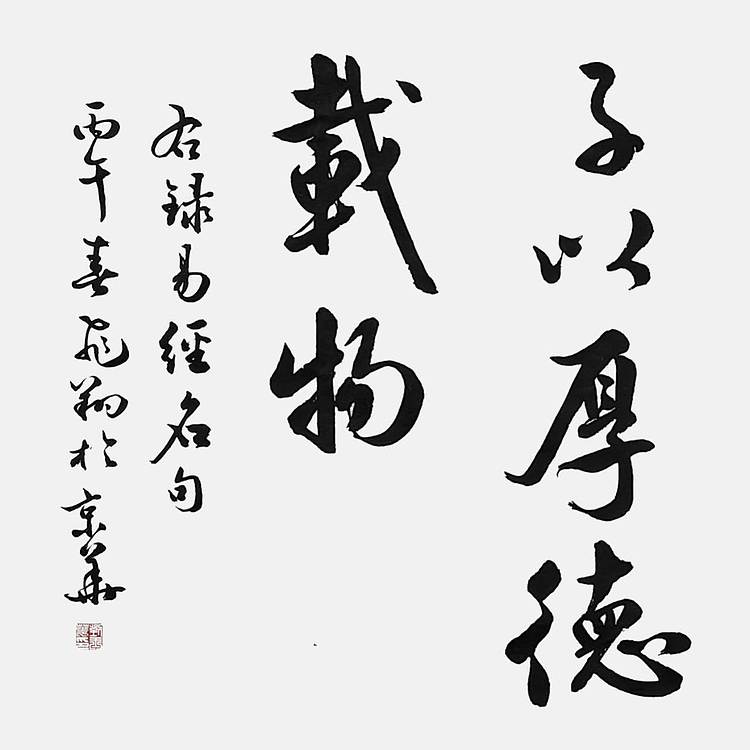 飞翔 易经名句天行健自强不息厚德载物书法作品名人字画名家真迹定制