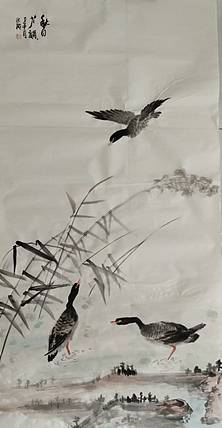 高洪敏 秋日芦韵