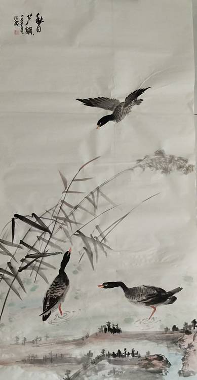 高洪敏 秋日芦韵