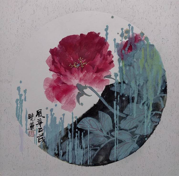 尚晓莲 风华正茂