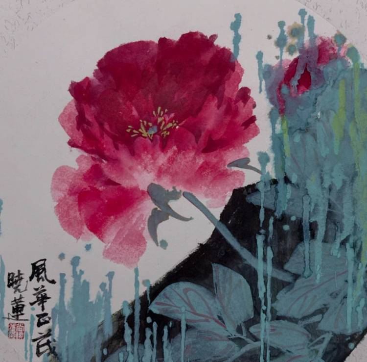 尚晓莲 风华正茂