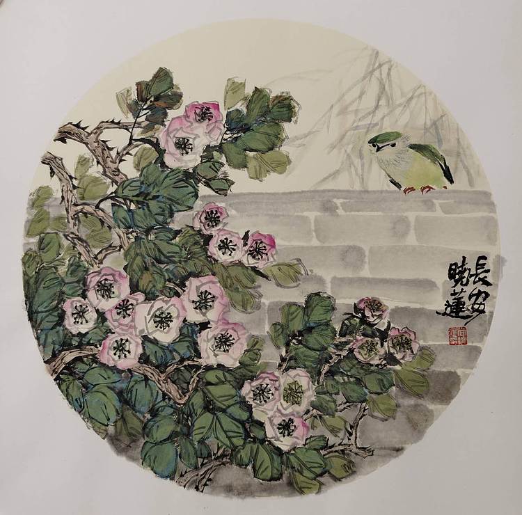 尚晓莲 无题