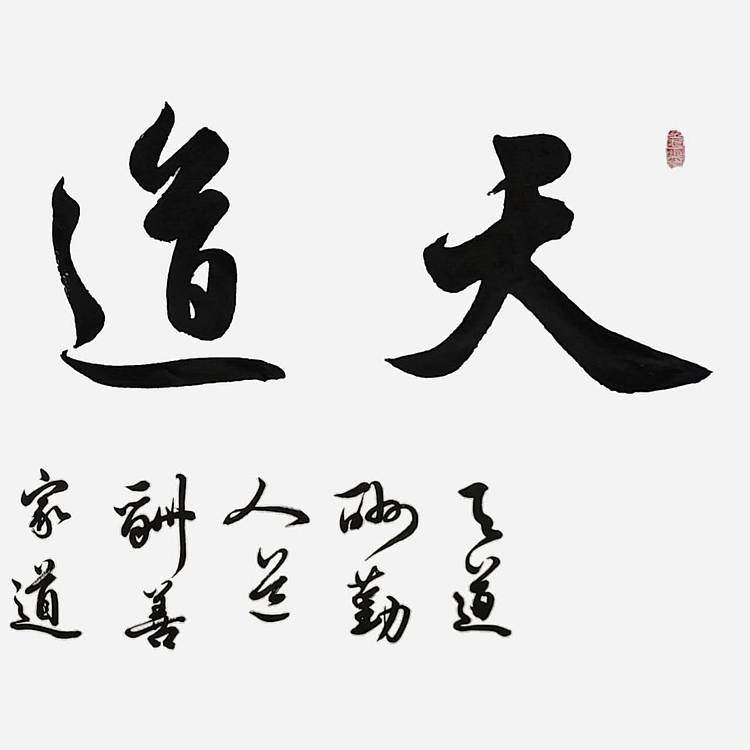 飞翔 山东省书协会员作品 天道酬勤名人书法名家手写真迹