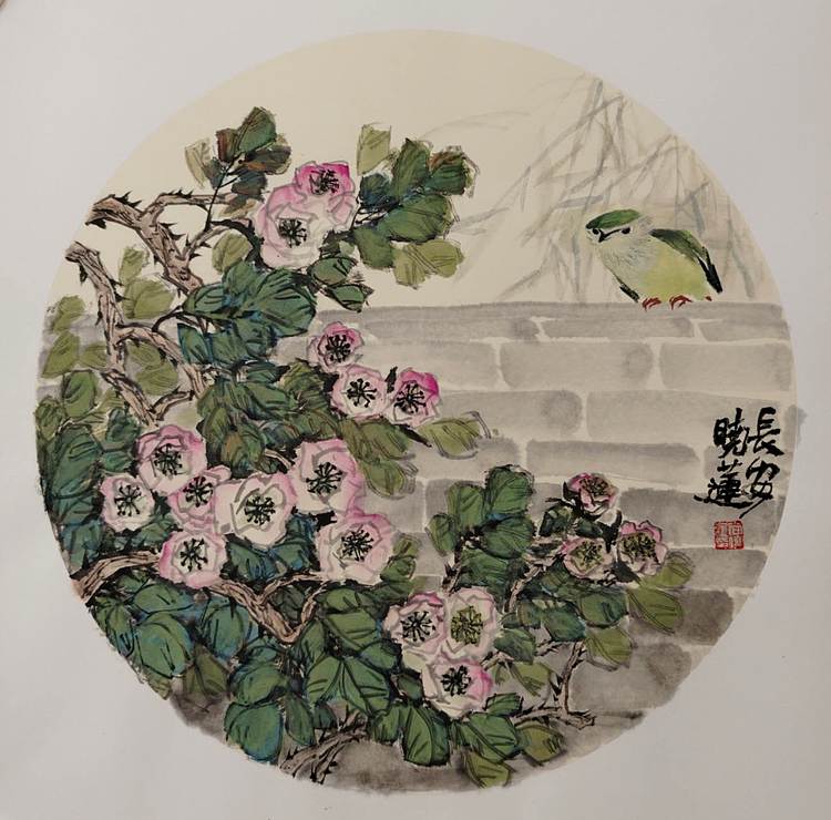 尚晓莲 无题
