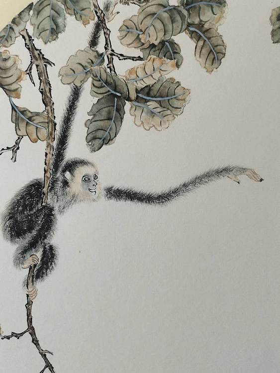 无 猴戏