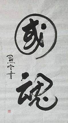 点空居士 国魂