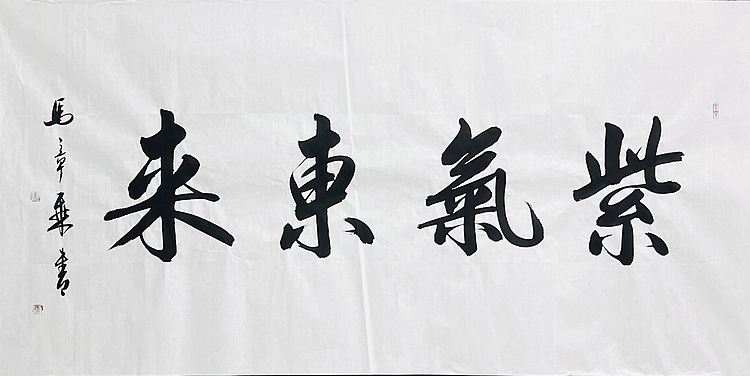 中书协会员 马章乘书法