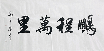 中书协会员 马章乘书法