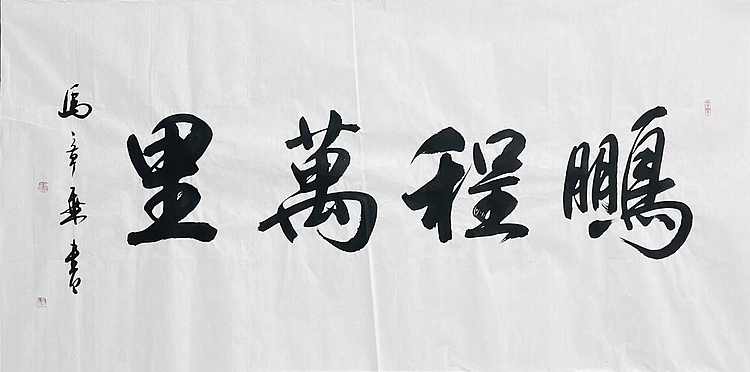 中书协会员 马章乘书法