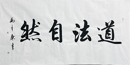 中书协会员 马章乘书法