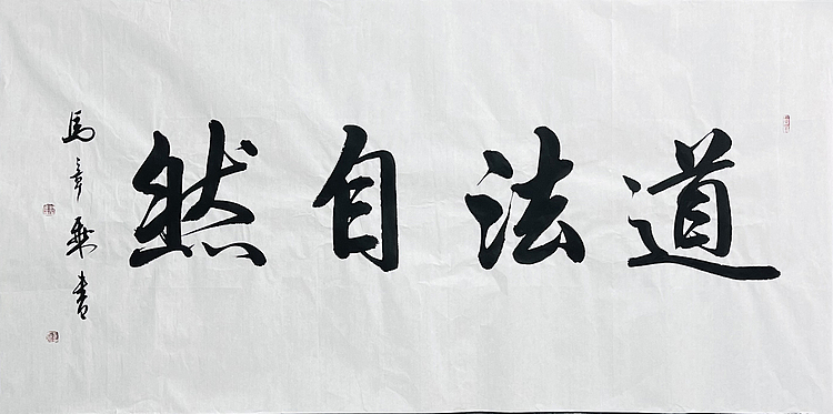 中书协会员 马章乘书法