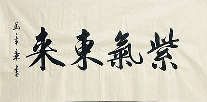 中书协会员 马章乘书法