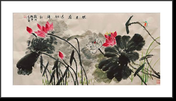 兰花 荷