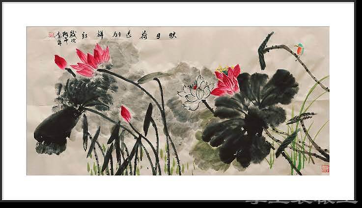 兰花 荷