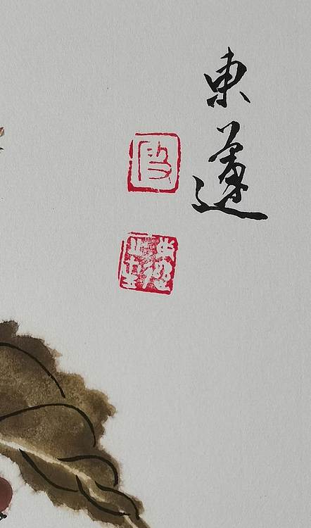 无 《独乐乐》